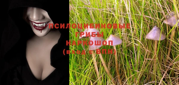 spice Алексин